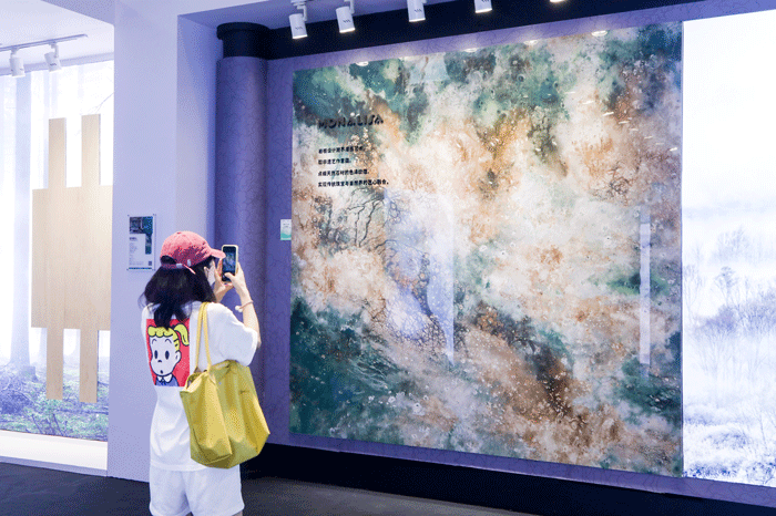 Z6·尊龙「中国区」官方网站